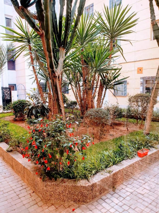 Ouasis En Plein Centre Appartement *